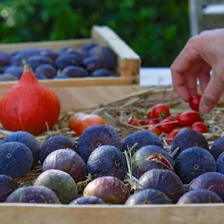 Le Velo B&B Sadirac